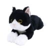 Hizaneko S Lap Cat, Tuxedo