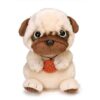 Potte Pug