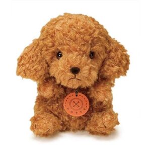 Potte Poodle