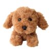 Hizawanko SS Lap Dog, Toy Poodle Brown